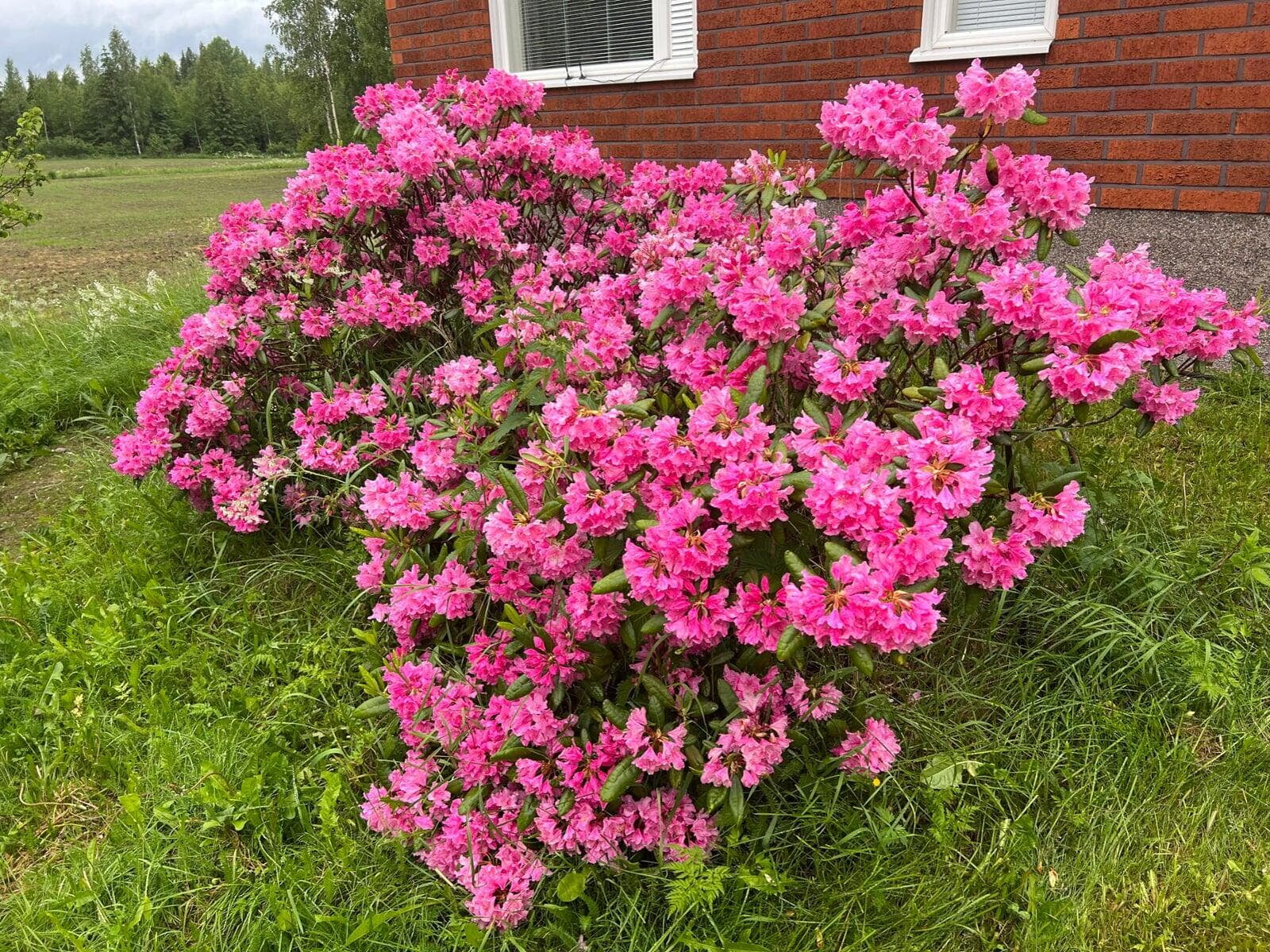 Mitä tekisin kotona yksin, kun on tylsää?