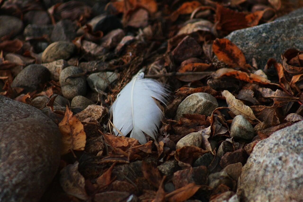 Toipumassa takaisin työelämään